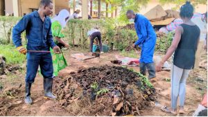maraichage agroecologique